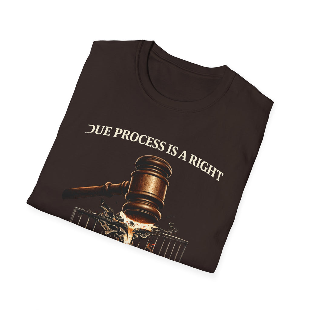Due Process T-Shirt - Assert Your Rights in Style - Rise And Revolt