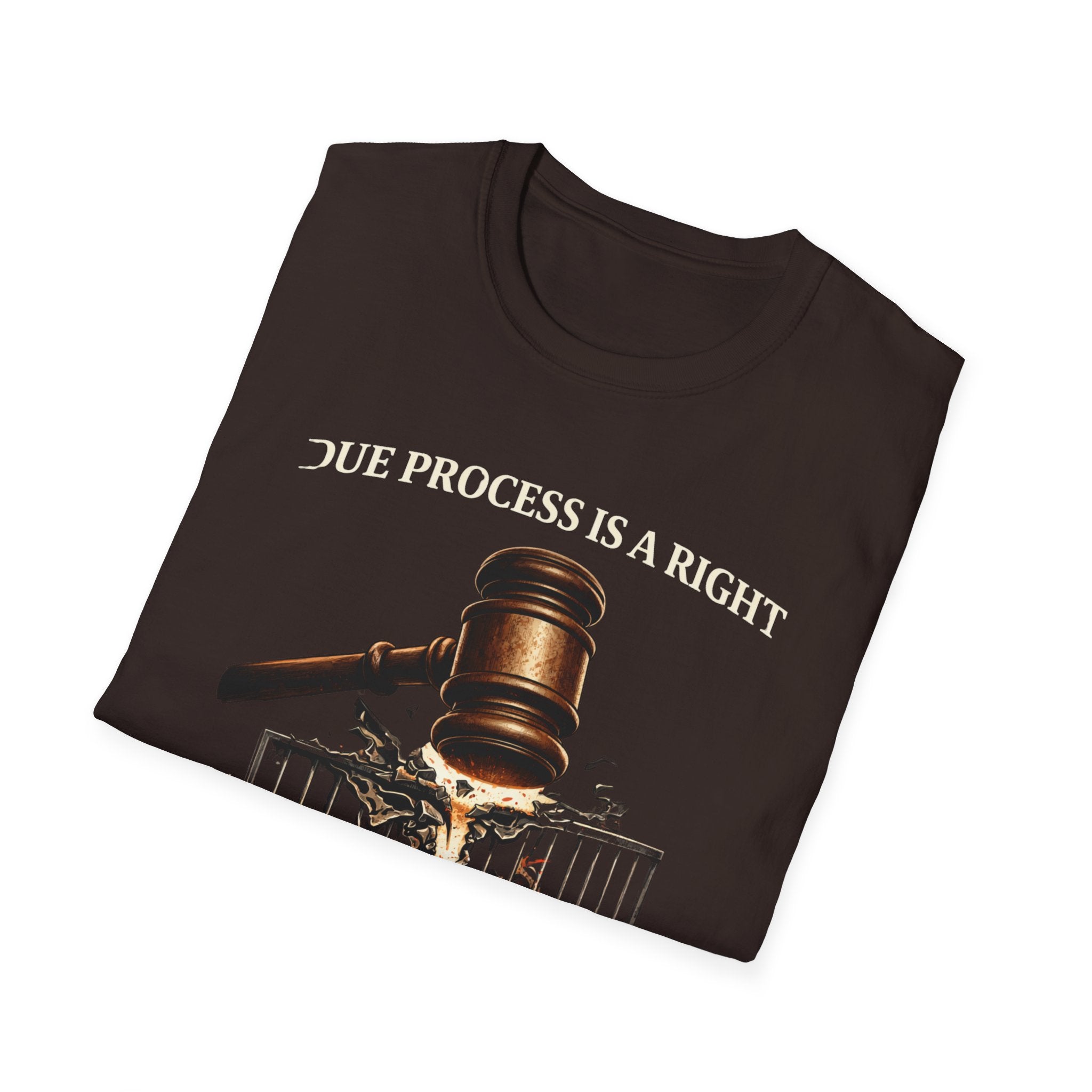 Due Process T-Shirt - Assert Your Rights in Style - Rise And Revolt