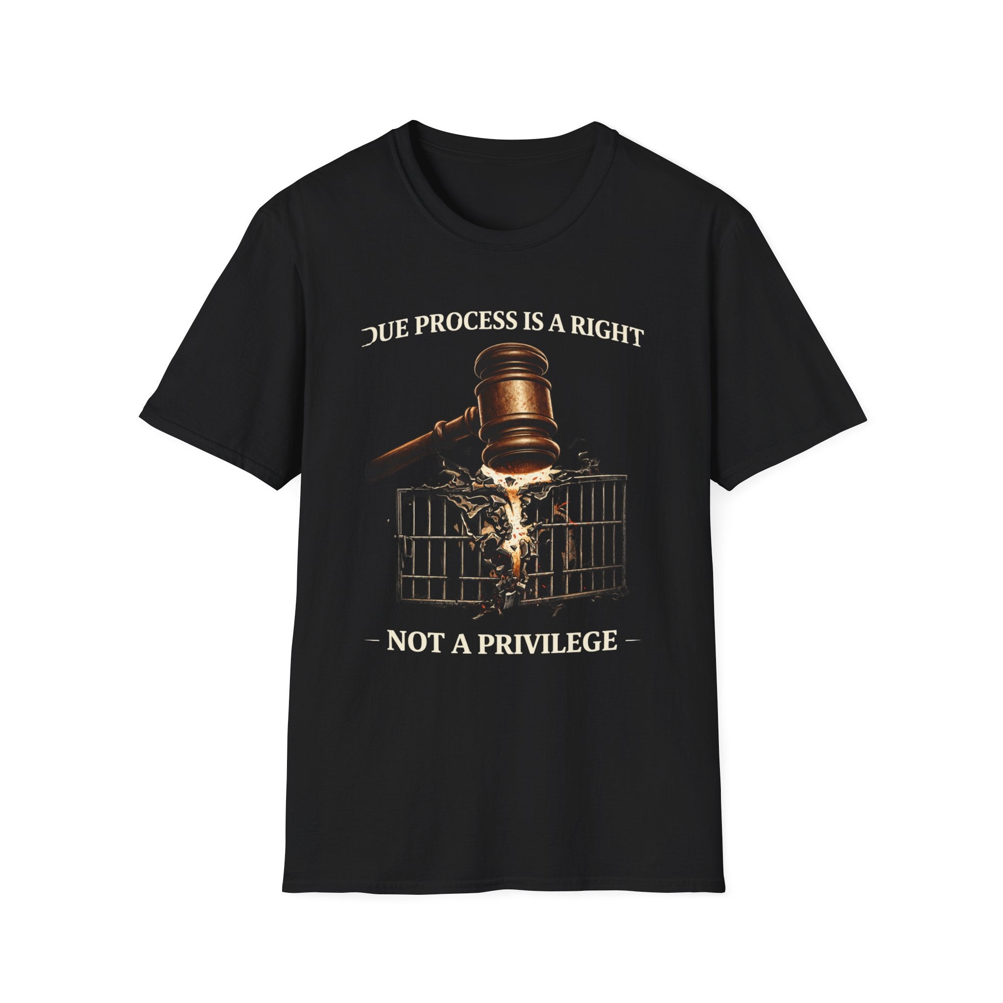 Due Process T-Shirt - Assert Your Rights in Style - Rise And Revolt