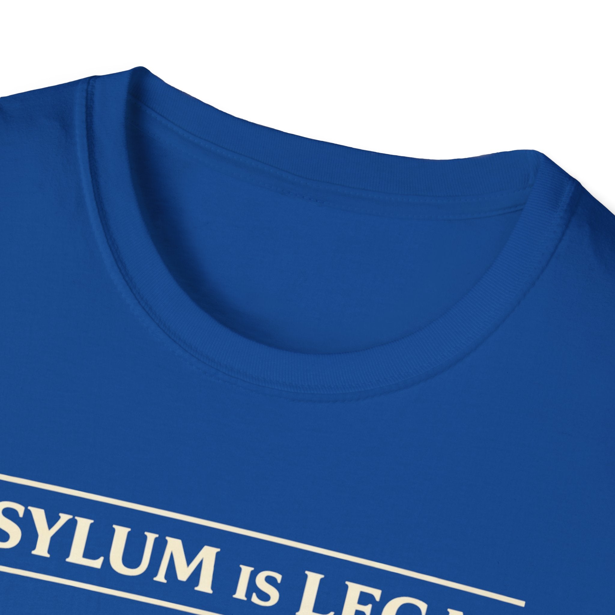 Asylum Is Legal T-Shirt - Rise And Revolt