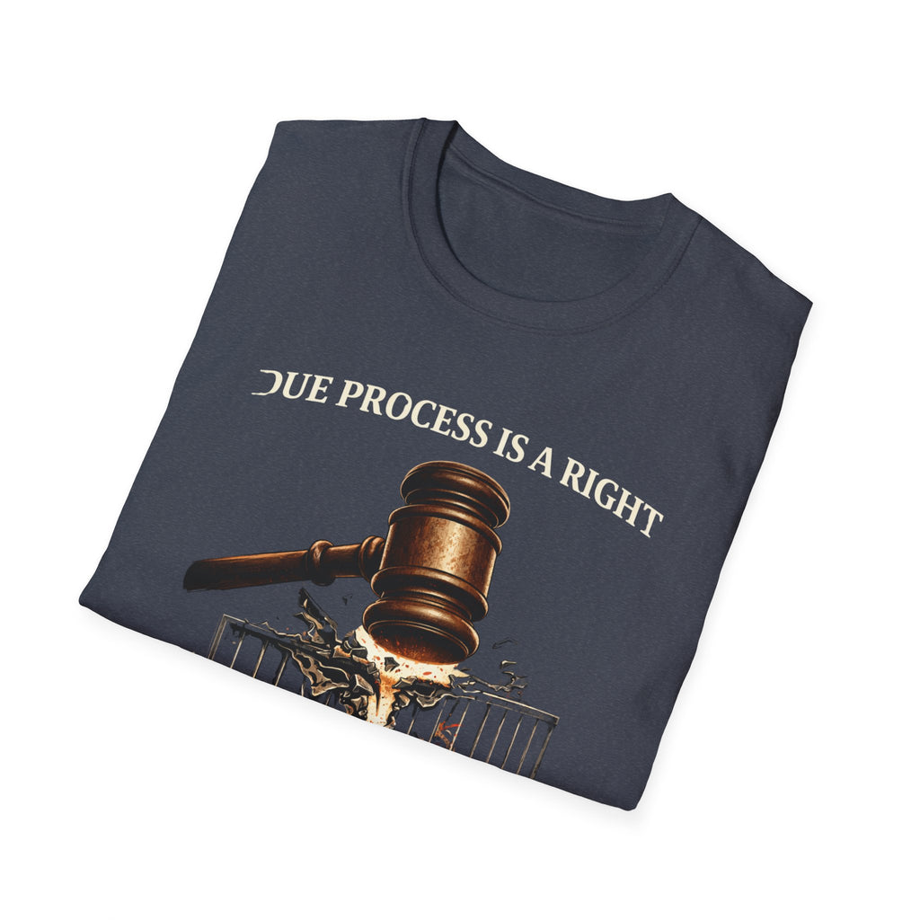 Due Process T-Shirt - Assert Your Rights in Style - Rise And Revolt
