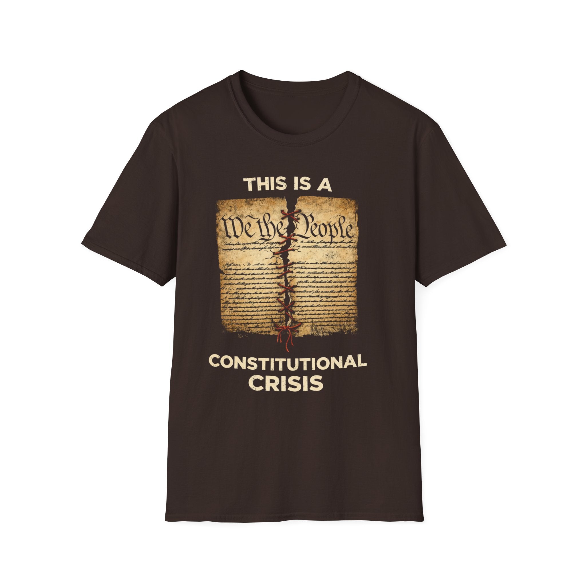 Constitutional T-Shirt for Advocates of Democracy - Rise And Revolt