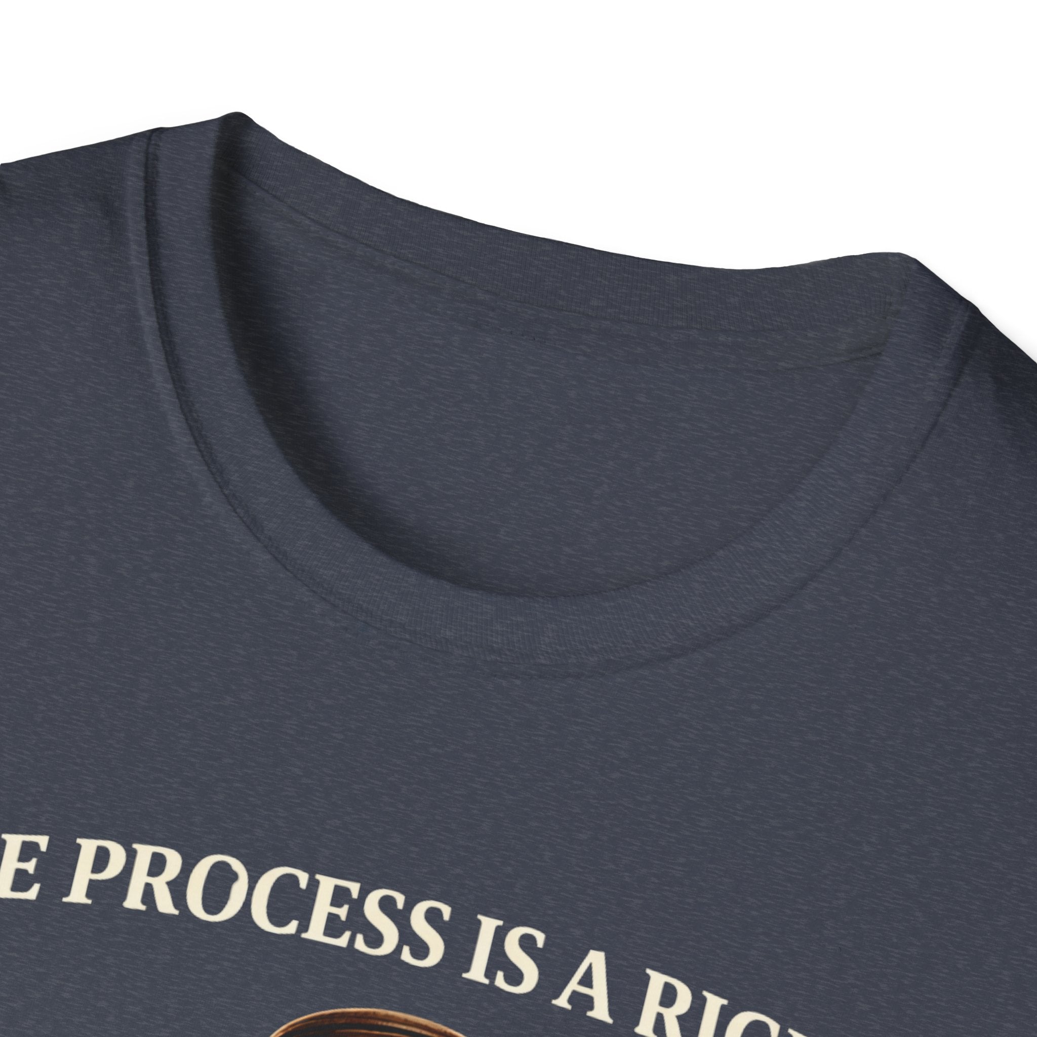 Due Process T-Shirt - Assert Your Rights in Style - Rise And Revolt