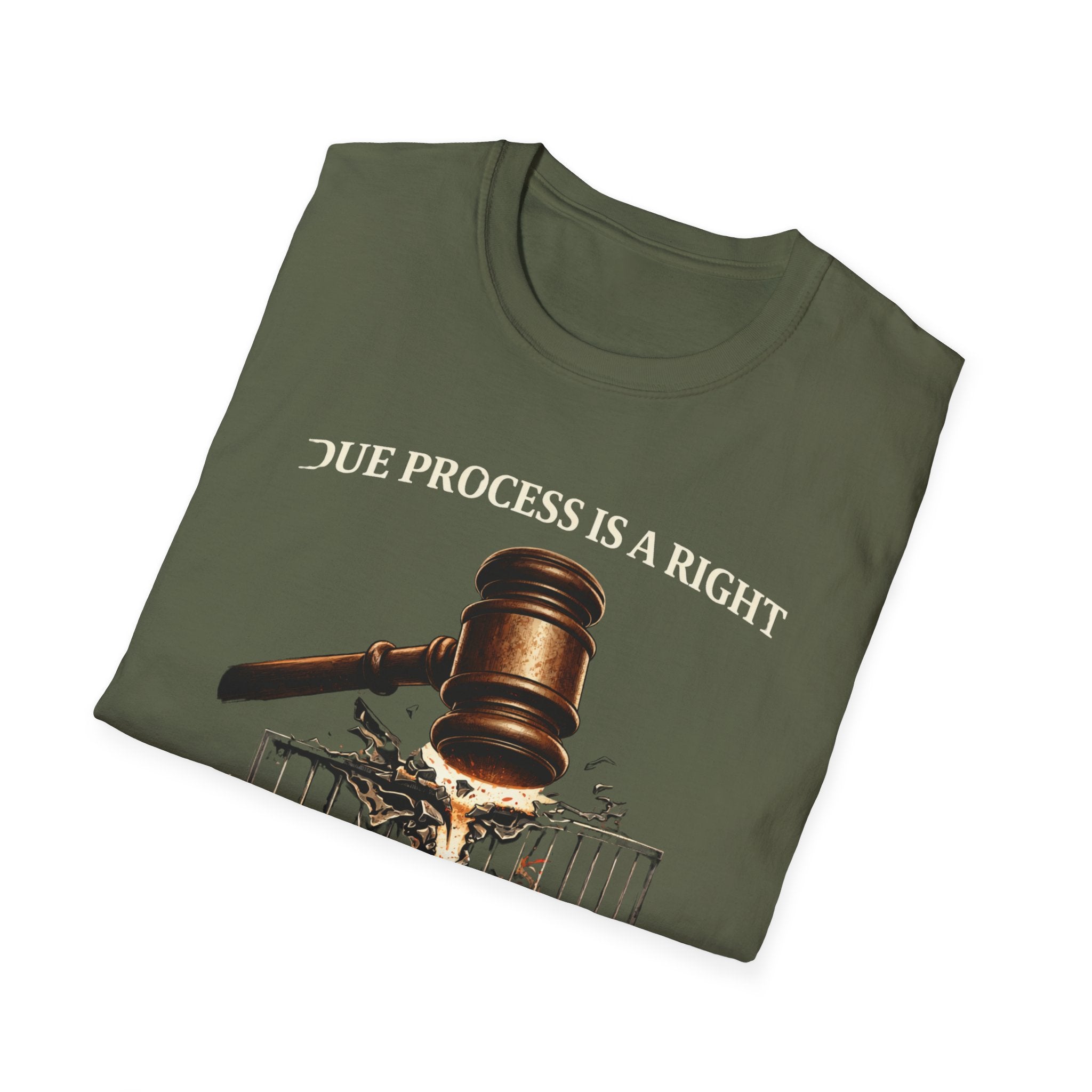 Due Process T-Shirt - Assert Your Rights in Style - Rise And Revolt