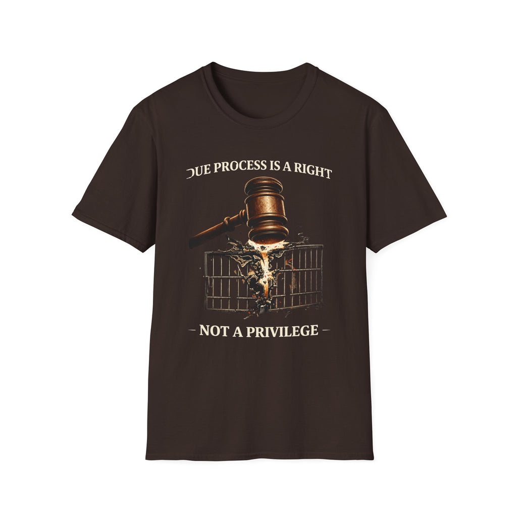 Due Process T-Shirt - Assert Your Rights in Style - Rise And Revolt