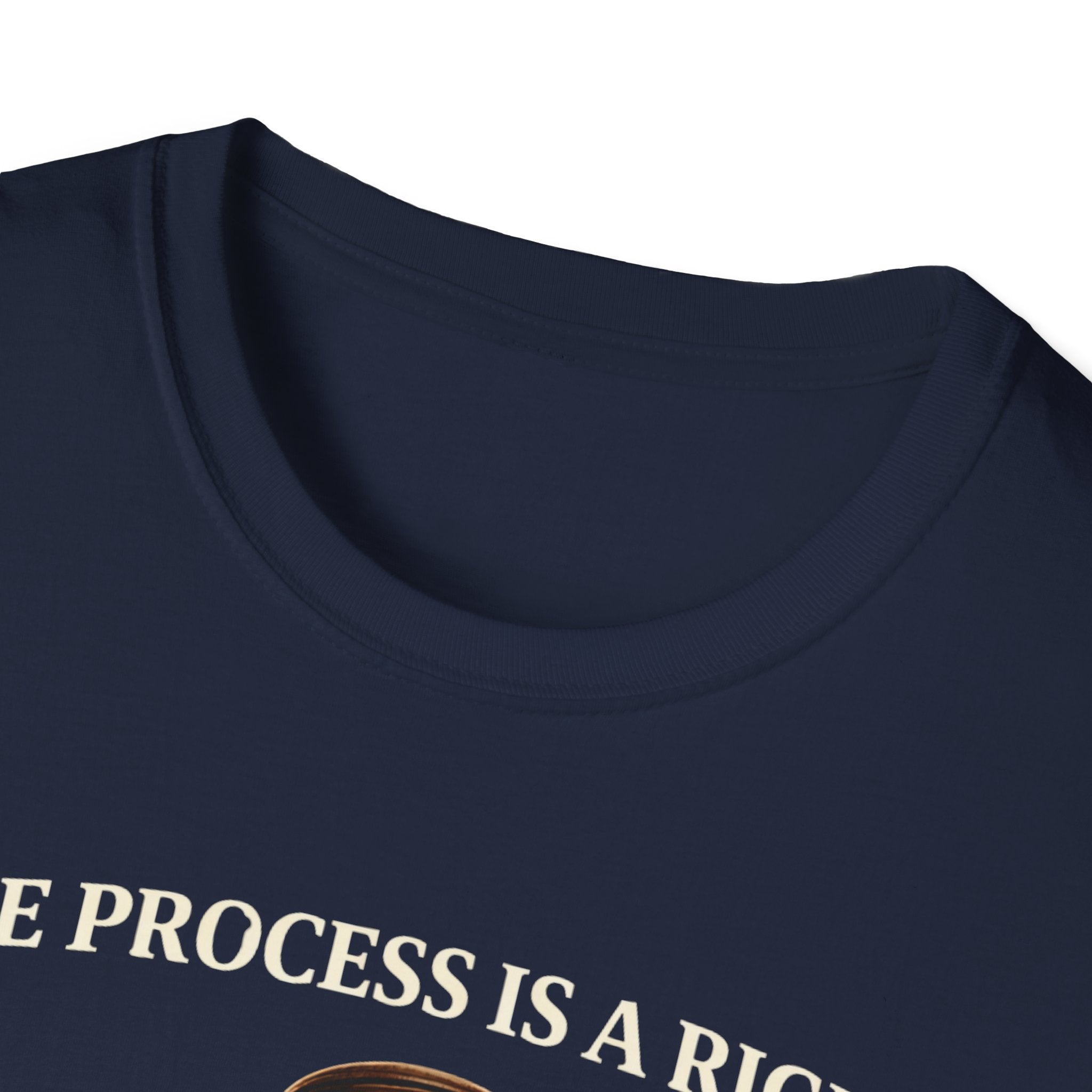 Due Process T-Shirt - Assert Your Rights in Style - Rise And Revolt