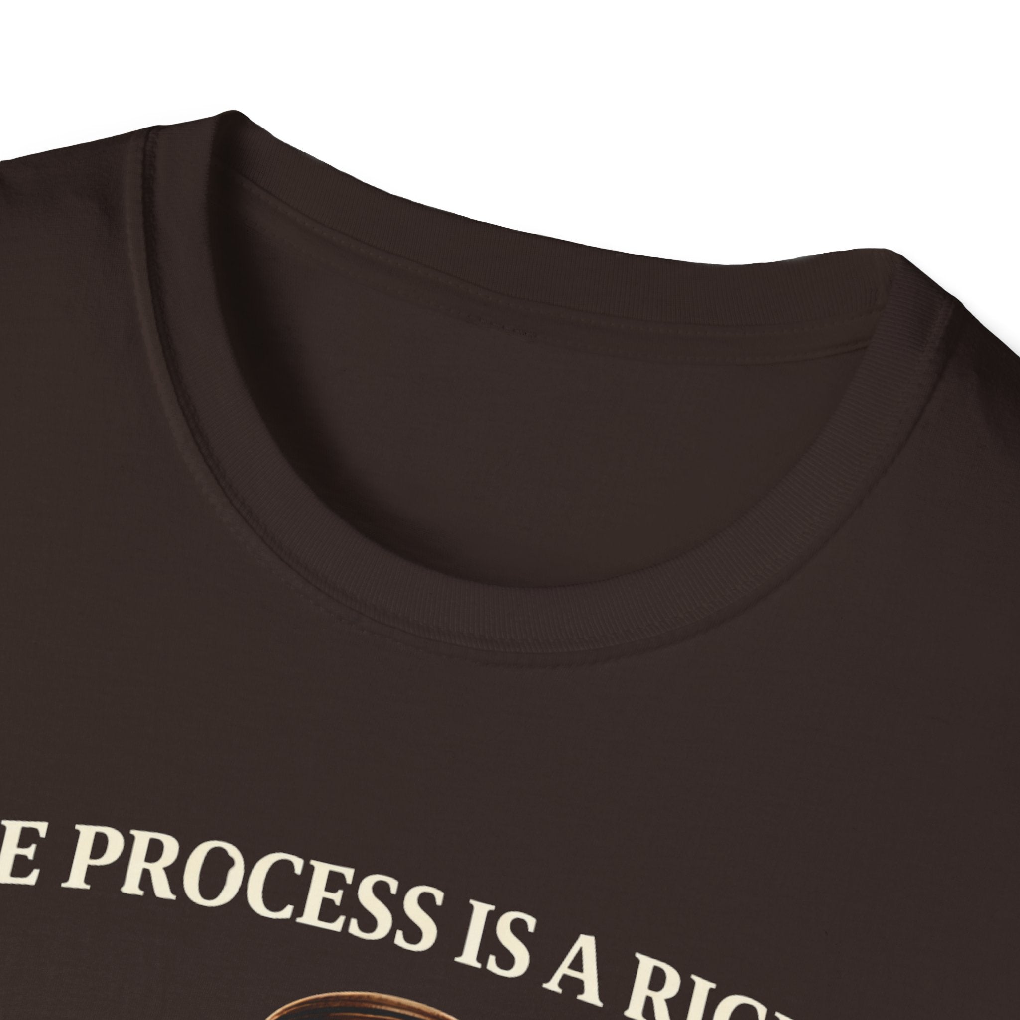Due Process T-Shirt - Assert Your Rights in Style - Rise And Revolt