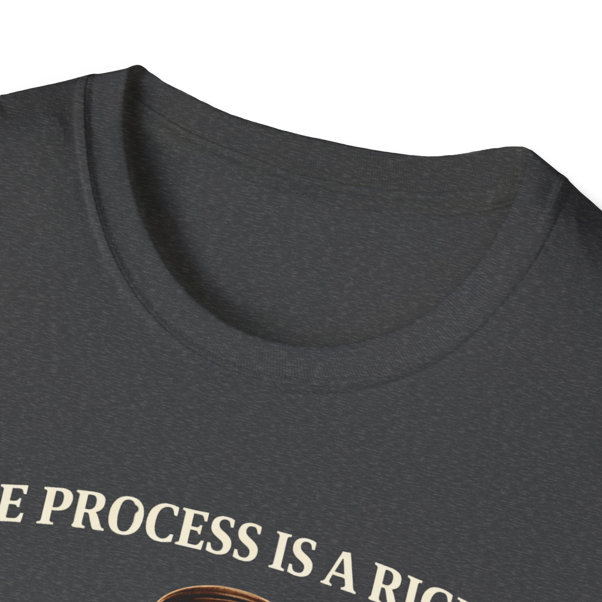 Due Process T-Shirt - Assert Your Rights in Style - Rise And Revolt