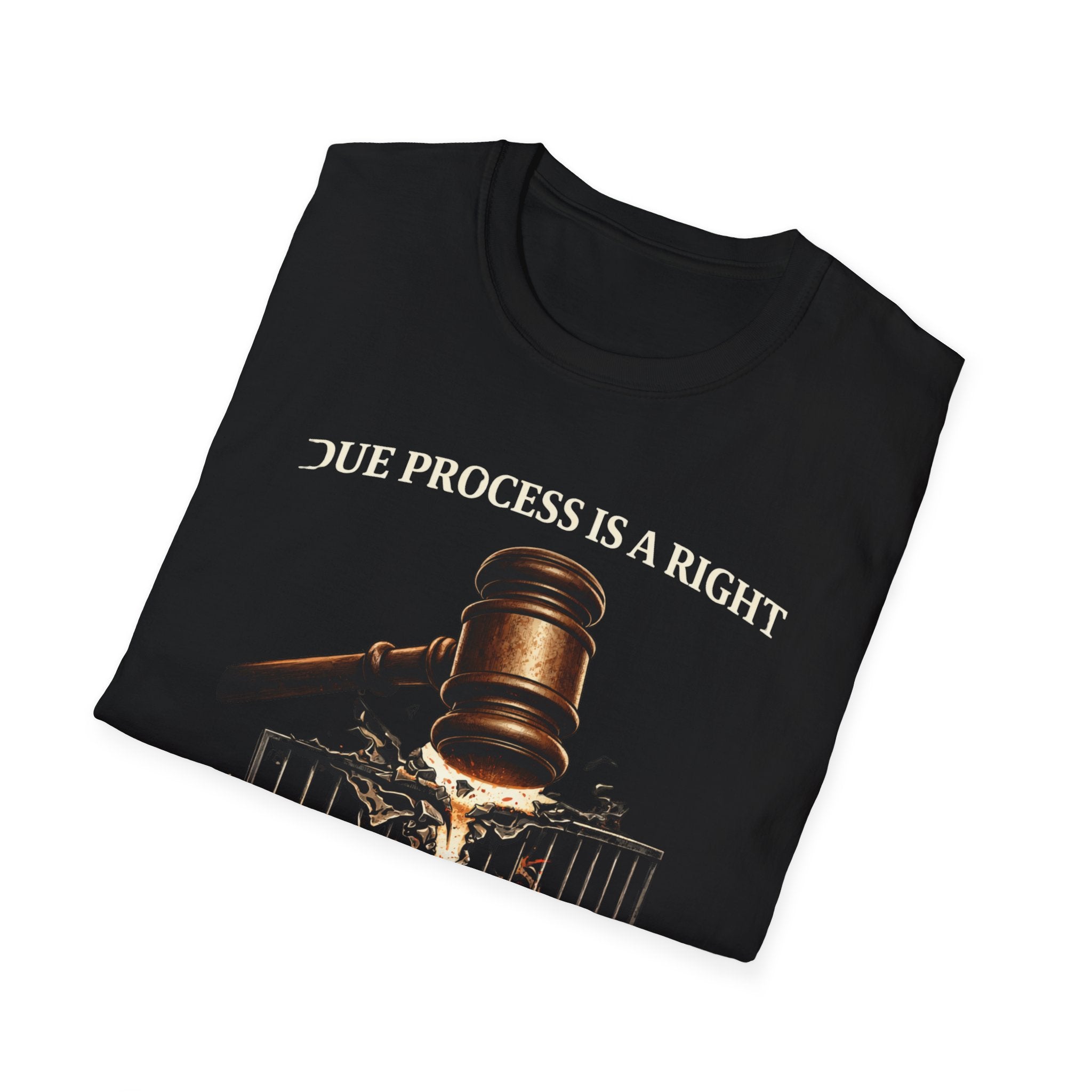 Due Process T-Shirt - Assert Your Rights in Style - Rise And Revolt