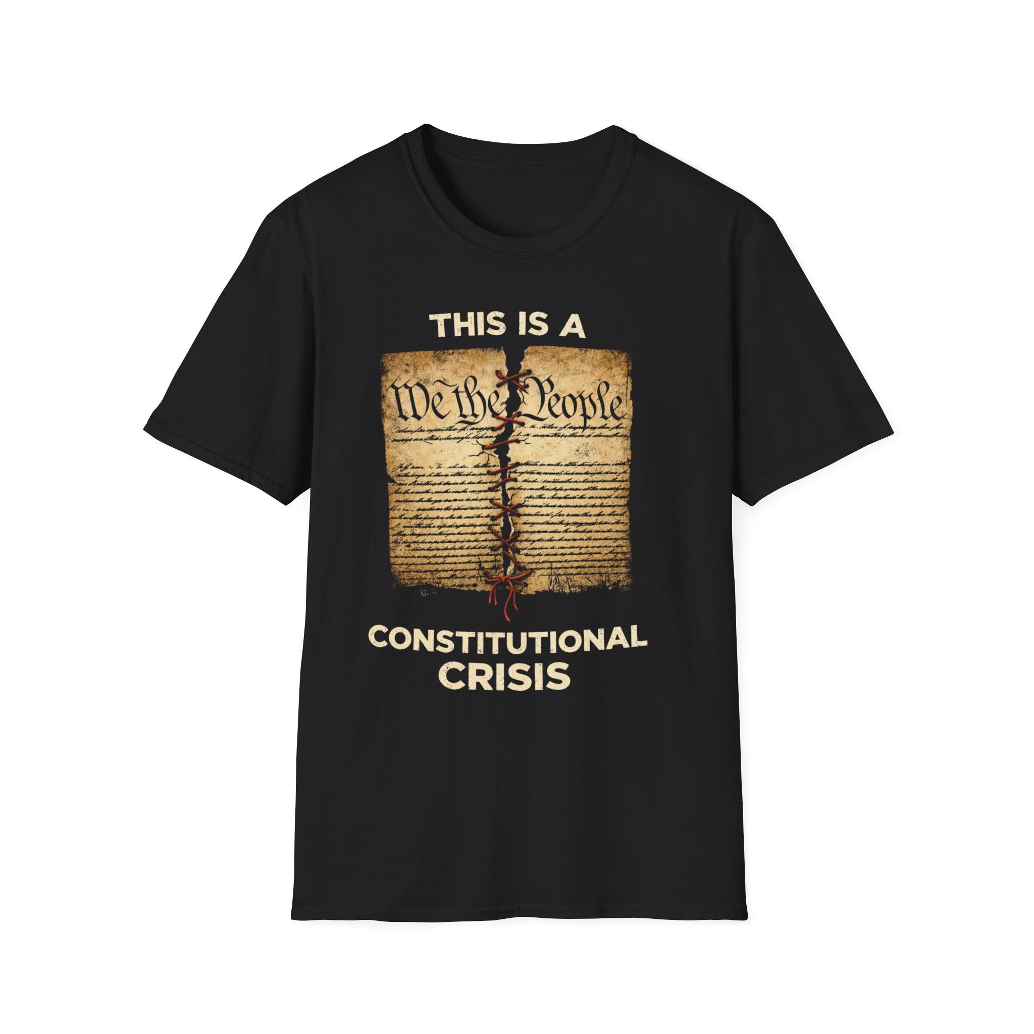 Constitutional T-Shirt for Advocates of Democracy - Rise And Revolt