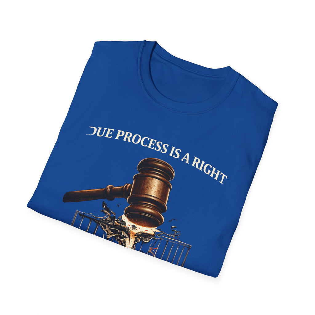 Due Process T-Shirt - Assert Your Rights in Style - Rise And Revolt