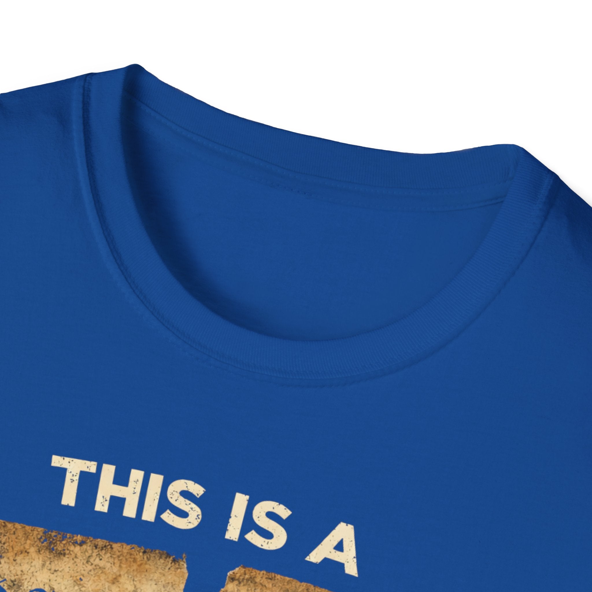 Constitutional T-Shirt for Advocates of Democracy - Rise And Revolt