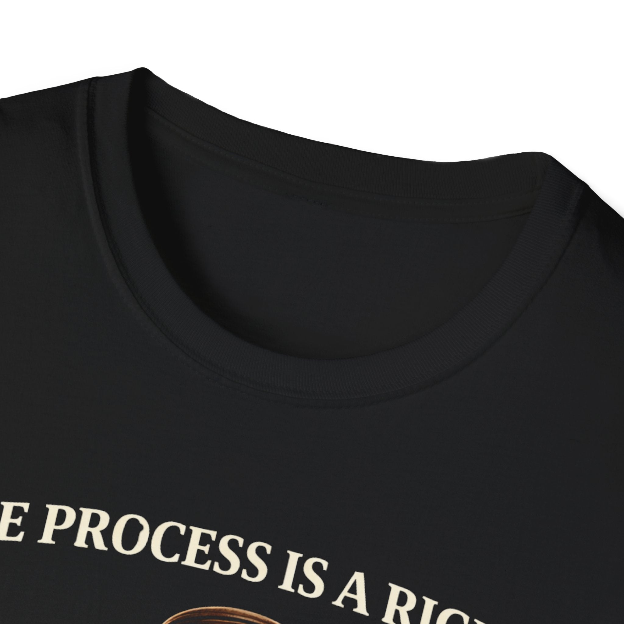 Due Process T-Shirt - Assert Your Rights in Style - Rise And Revolt