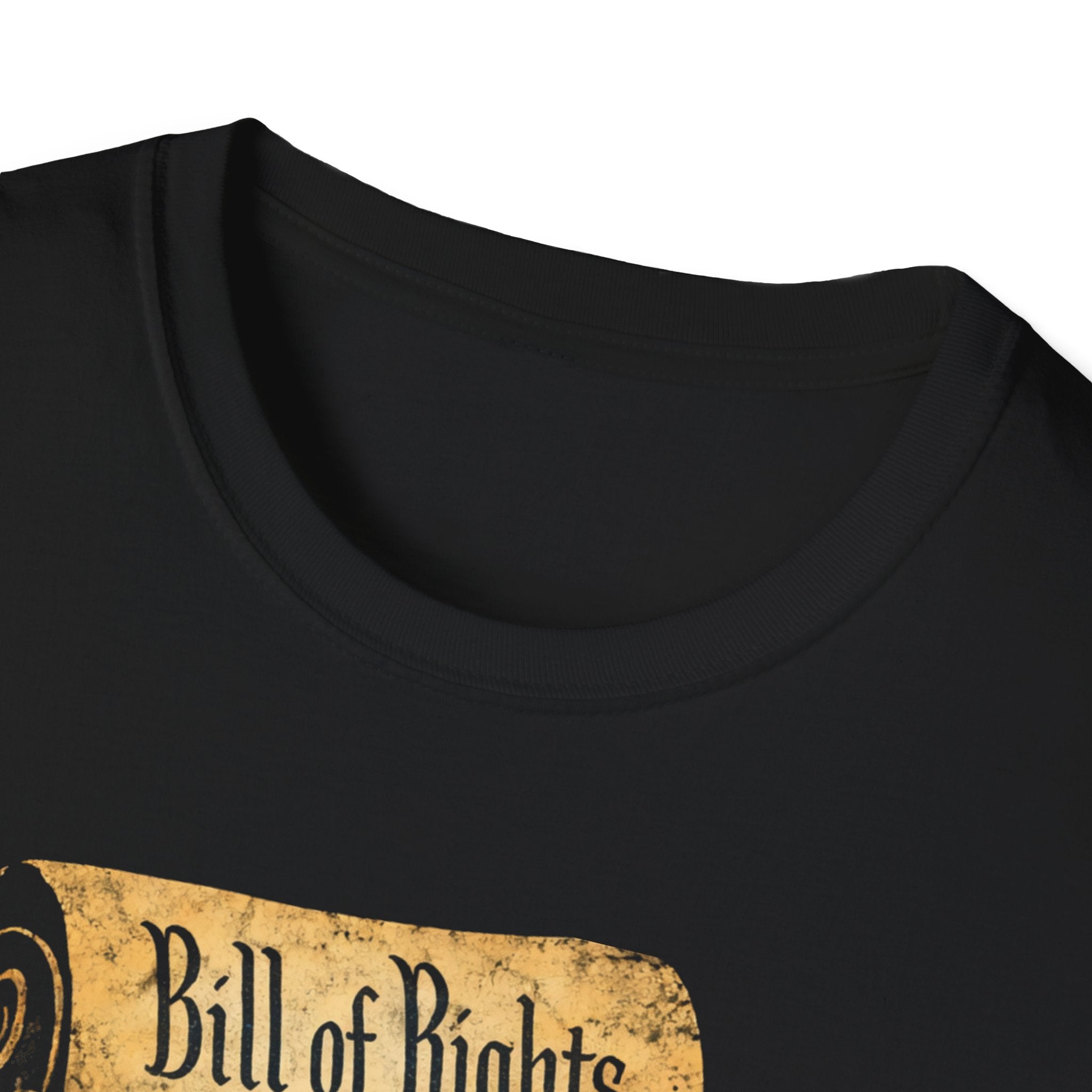 Bill Of Rights All Legal T-Shirt - Rise And Revolt