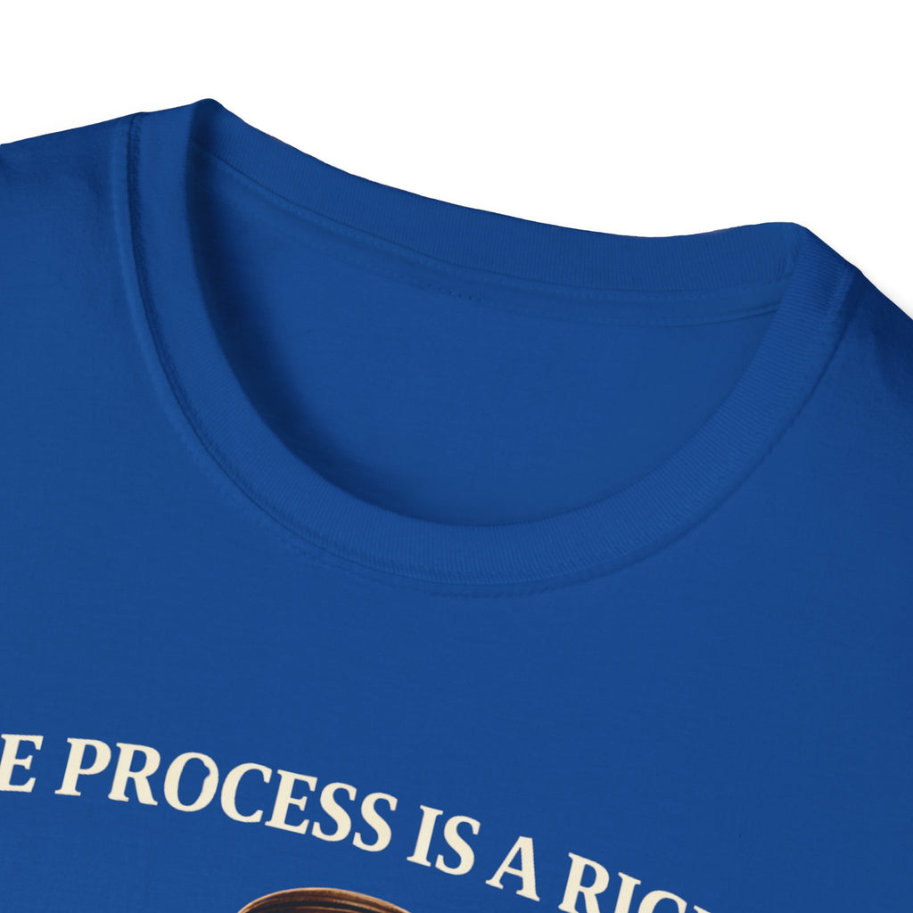 Due Process T-Shirt - Assert Your Rights in Style - Rise And Revolt